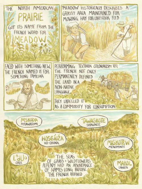 fifthdayprairie: Let’s talk about prairie, history, and language. For communities so focused o