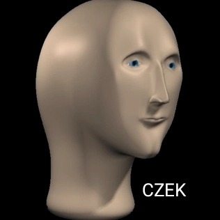 When I As Native Speaker Am Trying To Make A Comprehensive Table Of Czech Pronouns And The Verb Declension