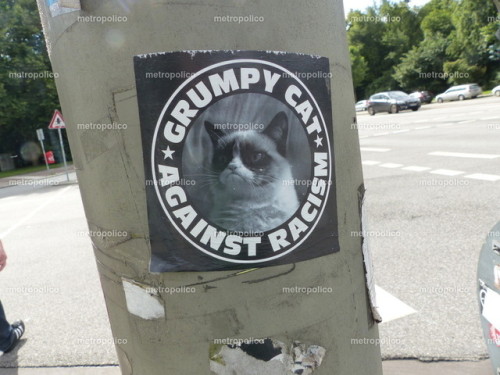 “Grumpy Cat Against Racism” stickers seen in various cities across Europe.Sadly, Grumpy Cat, otherwi