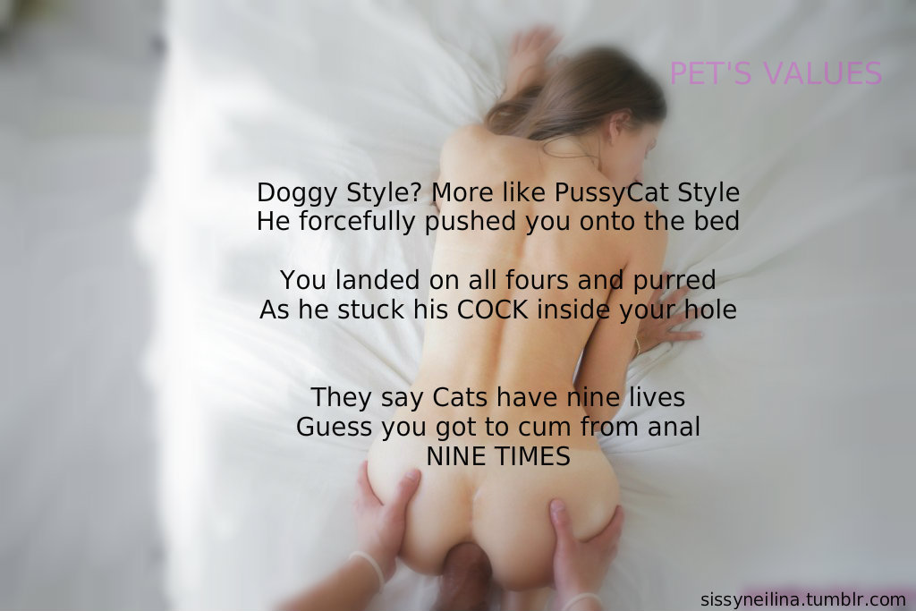 sissyneilina:  PET’S VALUES - Doggy Style? More like PussyCat Style. He forcefully
