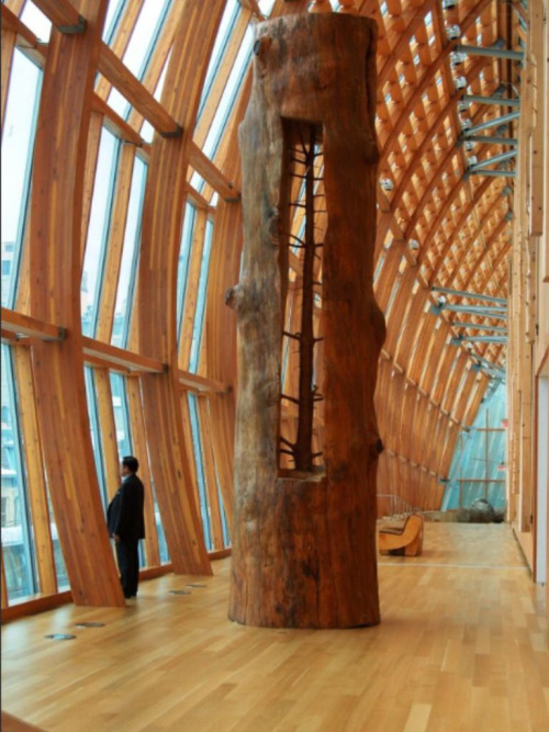 sixpenceee:  The artist Giuseppe Penone removes the growth rings on a tree to reveal the tree at a younger age. 
