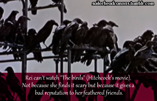  Rei can’t watch “The birds” (Hitchcock’s movie). Not because she finds it s