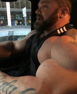 Muscle hunks in cars