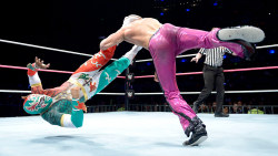 fishbulbsuplex:  Sin Cara vs. Fandango