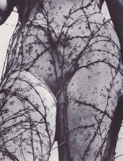 habitantes-oazj: PH - Vilém Reichmann - Caught in the Snare, 1941