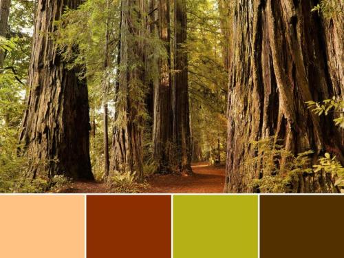 goparks:National Parks as Color Palettes#FindYourPark with a fresh coat of paint. (via HGTV) @kitkat