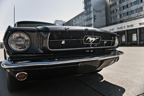 JUST THE COOLEST MUSTANGS