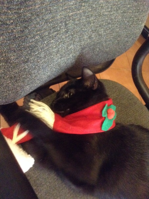 inkaandcasper:The most important $2.50 I have spent this year.
