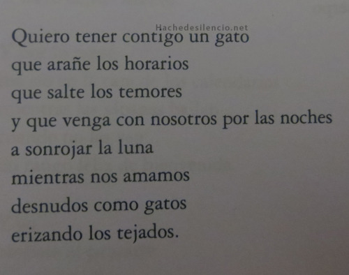 hachedesilencio:  Carlos Salem 