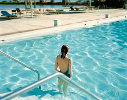 untrustyou:  Stephen Shore