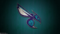 acciondeportes:  2013 Charlotte Hornets 2