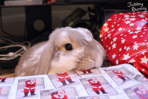 jubbybunny:  attempting to be festive part I 