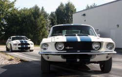 JUST THE COOLEST MUSTANGS