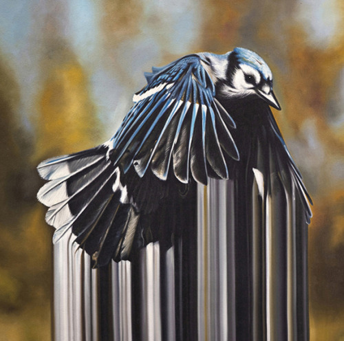 generic-art:  from the Bird Rib series of oil paintings by Maurizio Bongiovanni