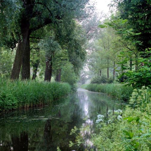 silvaris:forest river, photo by Annemieke Prozée