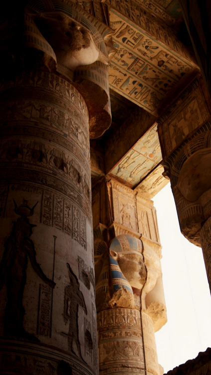 XXX wholepapers:ancient rome // ancient egypt photo