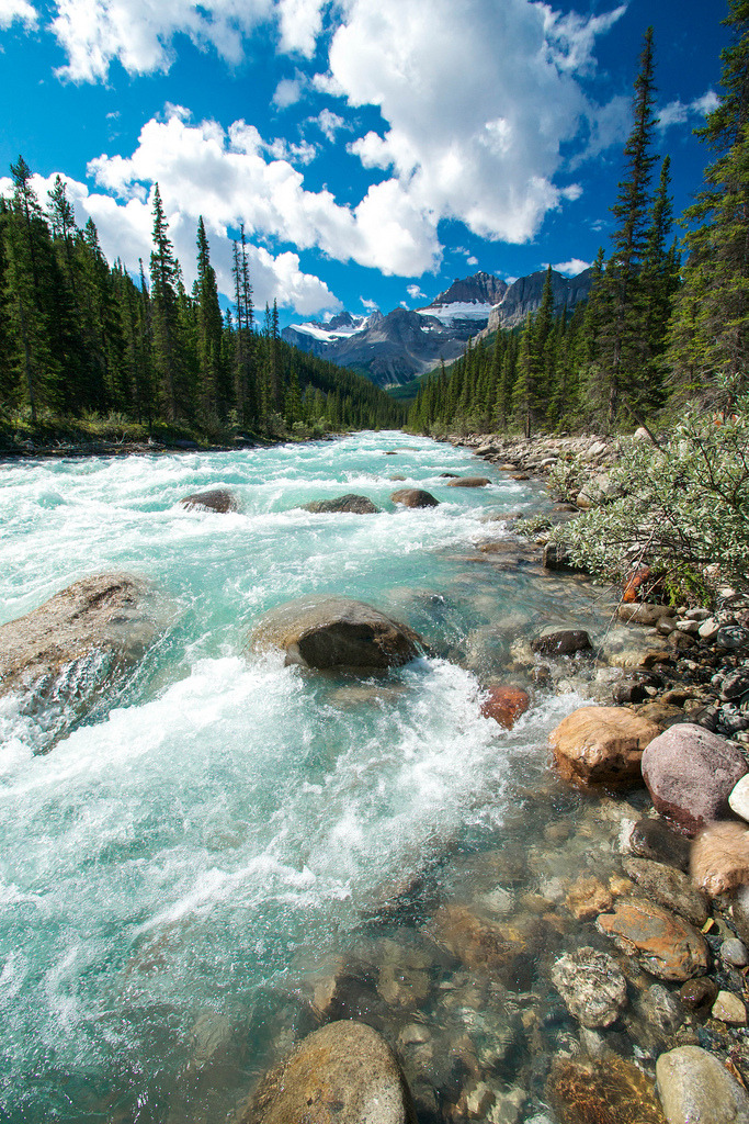 theencompassingworld:  4nimalparty:  Mistaya Canyon (by Megan C Johnston)   The World