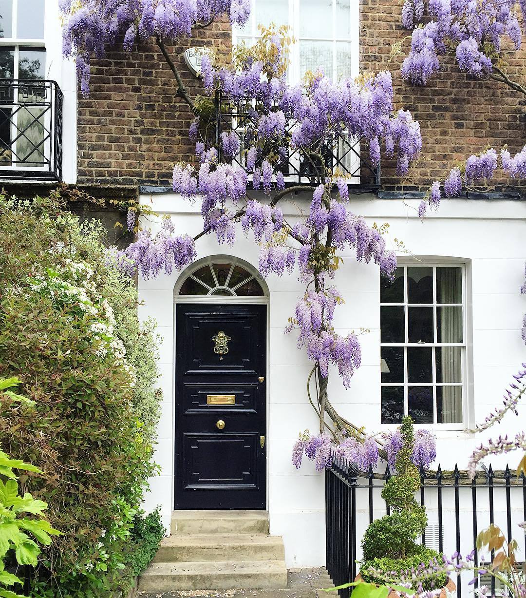 andantegrazioso:British facades |  thedoorsofldn  