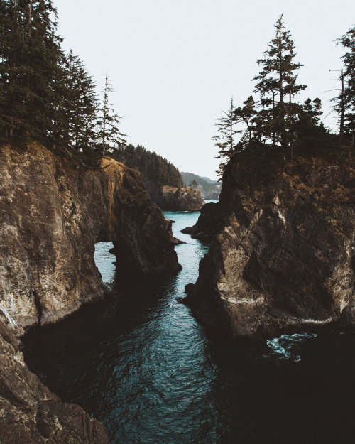 andrewtkearns:South Oregon Coastandrewtkearns - Instagram / YouTube / Twitter