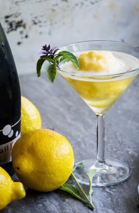 sweetoothgirl - LIMONCELLO & PROSECCO FLOAT