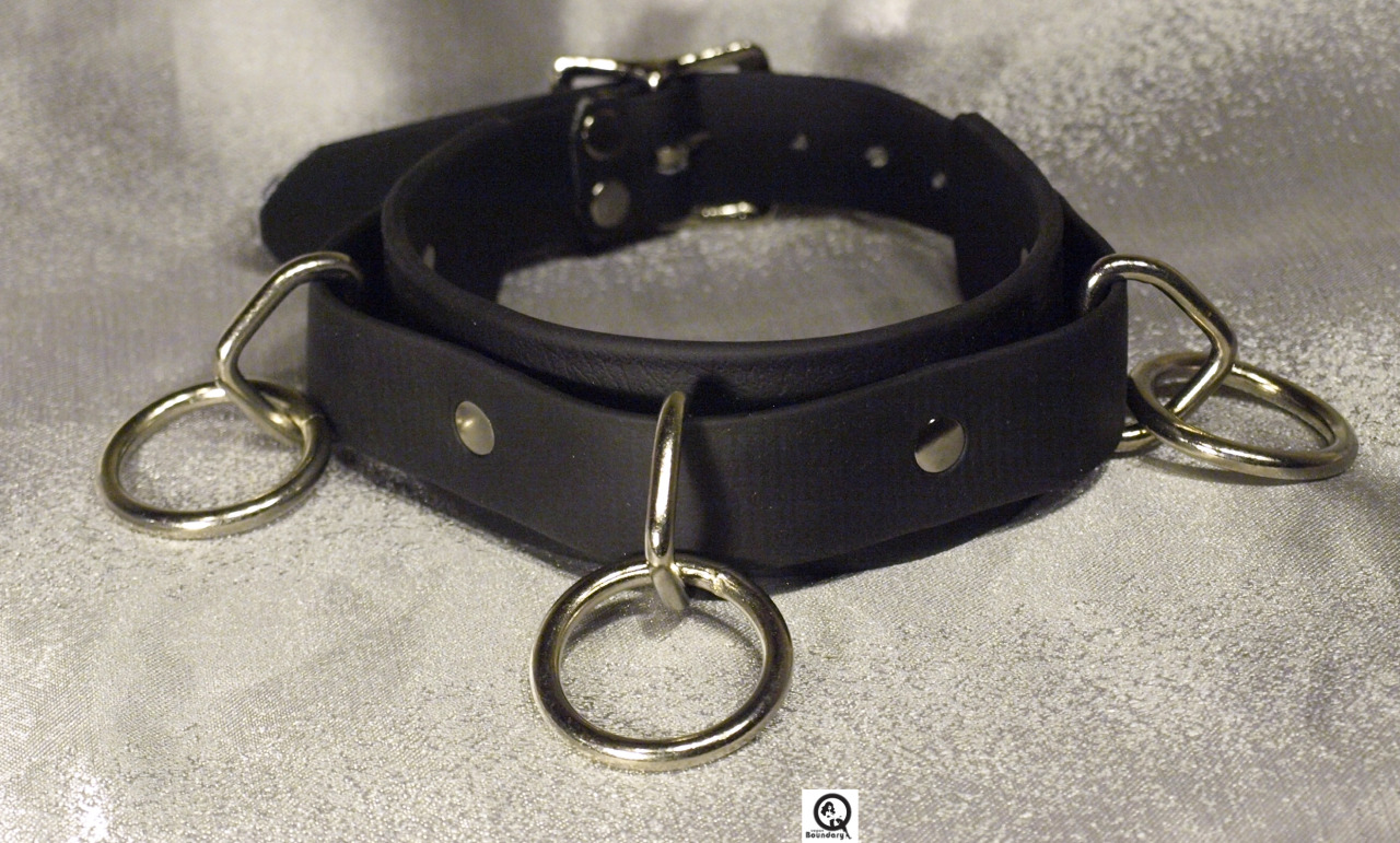 cookiethepup:  vegankinkgear:  [x]  that gag though 
