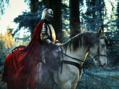 narcissiste:Portraits of Medieval Knights Reimagined as Fearless Women by Kindra Nikole 