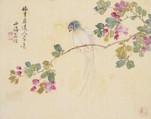laclefdescoeurs:  Flowers and Birds, Weng Luo ink and color on silk, album of eight leaves 
