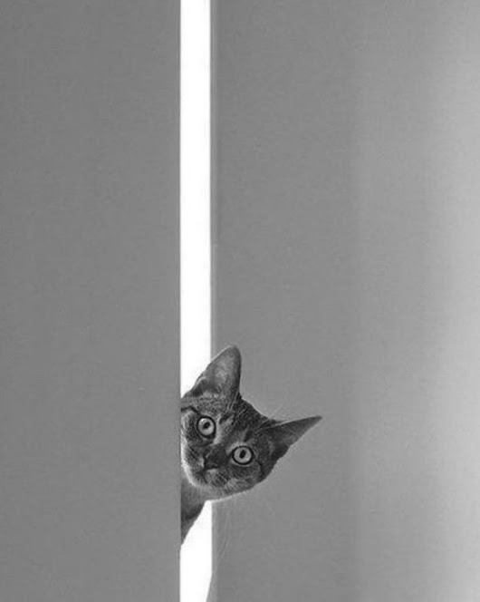 somersbyone: Oh hello!