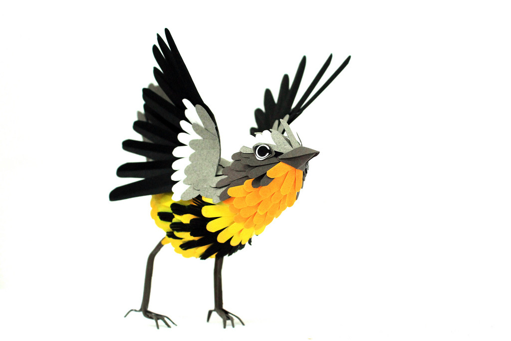 paintvrlife:  Diana Beltran Herrera is a Colombian designer and illustrator who is
