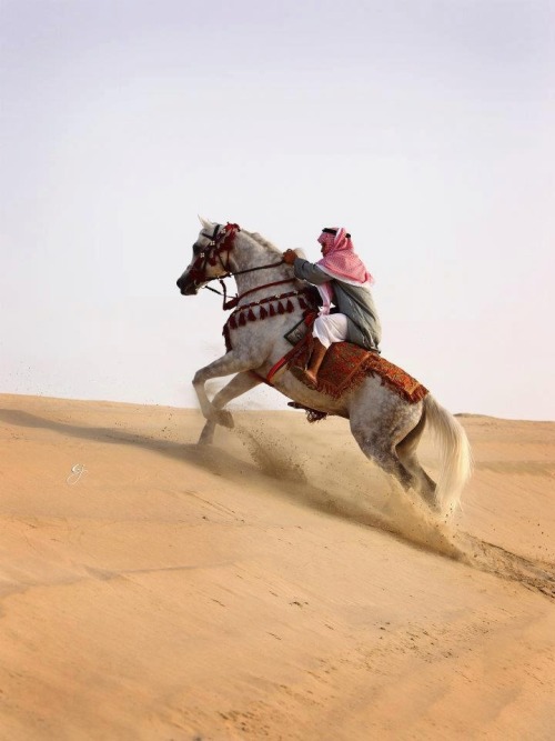 winddrinkers: ما شاء الله