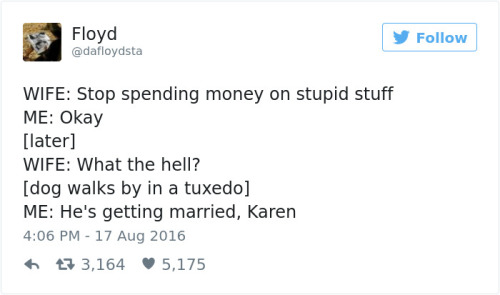 wwinterweb:Funny Marriage Tweets (see 15 more)