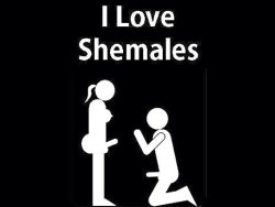 Shemales, Trannies & Sissies