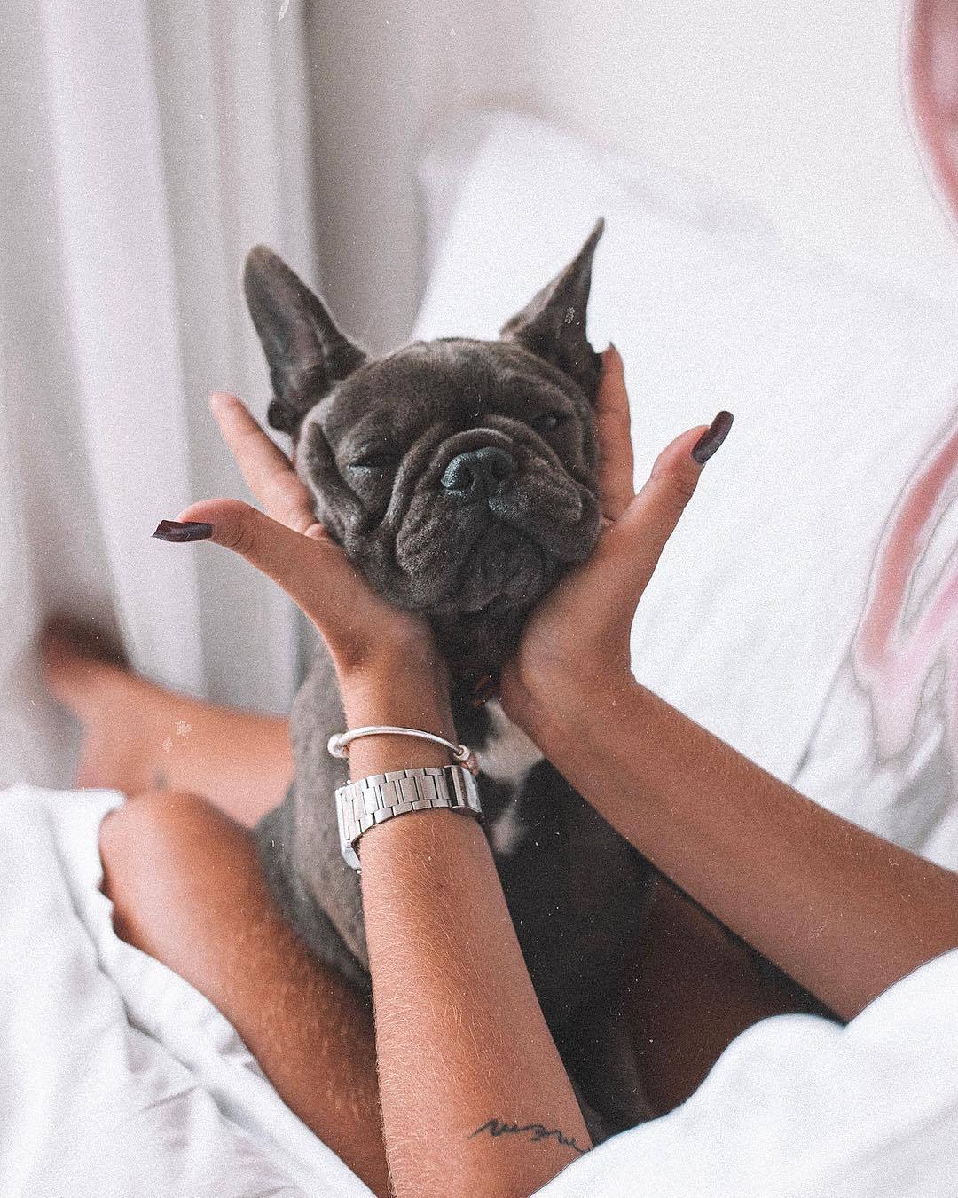labella-instagram:  jadeseba