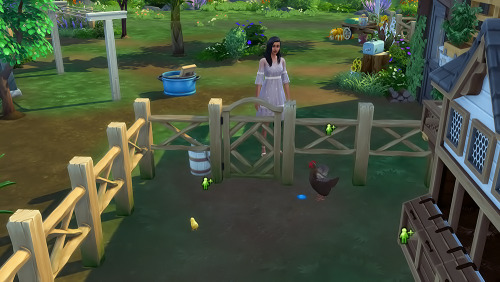 After the competition, Clover decided to finally use the chicken coop on the farm. She purchased a H