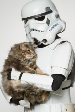 mostlycatsmostly:  Representatives of the 501st Legion: Capital City Garrison volunteered some time to pose with adoptable Ottawa Humane Society shelter animals.Happy Star Wars Day! May The Fourth Be With You!Photo Credit   The.Rohit