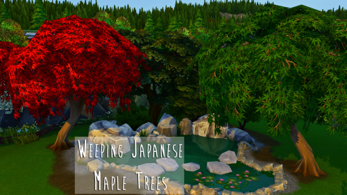 Weeping Japanese Maple Trees by teanmoonBase Game CompatibleCome in two packages (red and green) eac