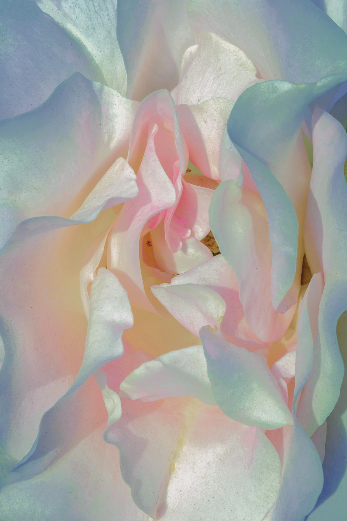 duxuebing: Photography by Xuebing Du