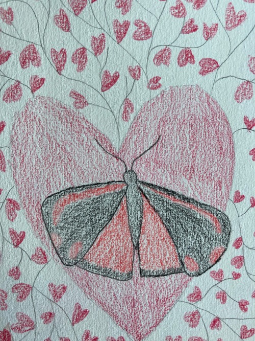 lesbianpandasworld - Queer Moth