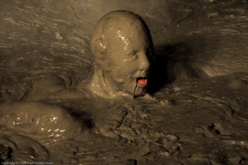 wampicsandgifs:  Mud Puddle Visuals 