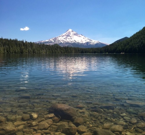 Lost Lake and Mount Hoodphoto: Daniel Montgomerythank you to my daughter Vanina for this photo