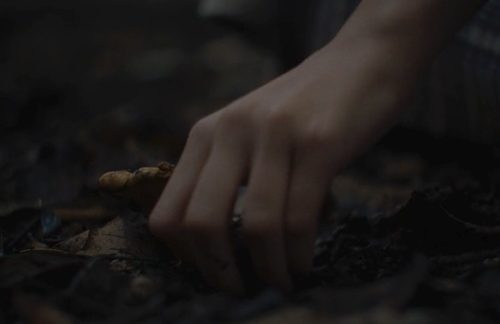 lovetaylor-s: Phantom Thread (2017), Paul Thomas Anderson The Beguiled (2017), Sofia Coppola