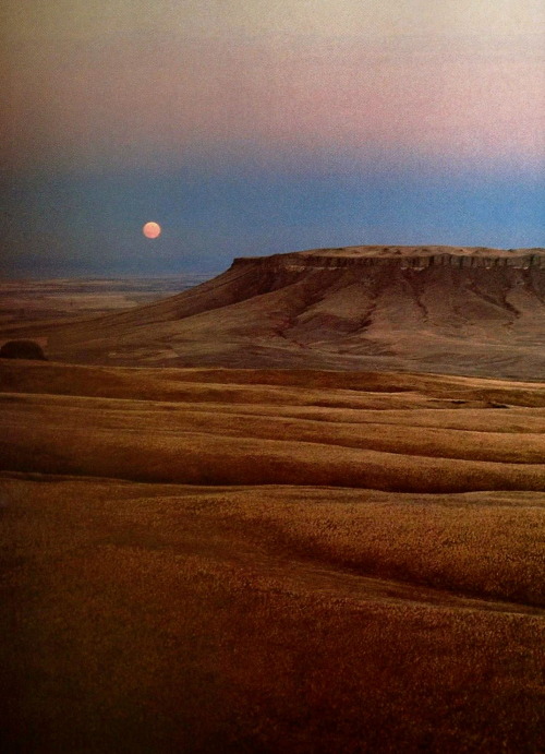 Courted By An Early Moon, Square Butte In Montana Unfolds In Spacious Grandeur