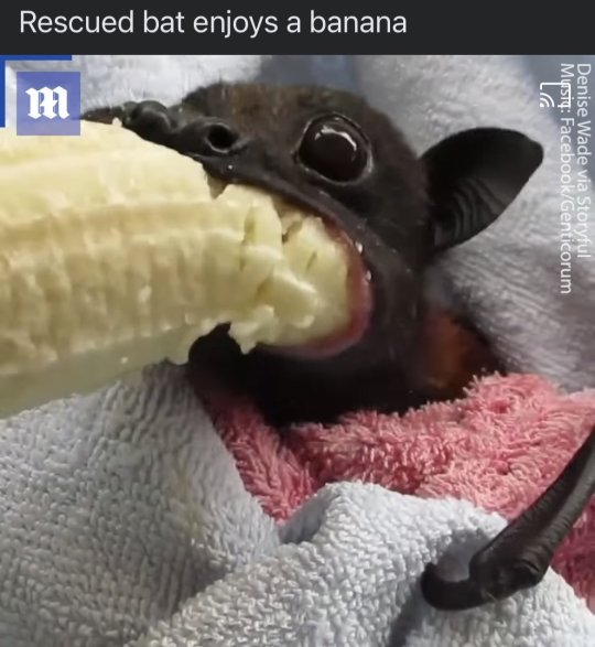 romcommunist:losing my mind at this