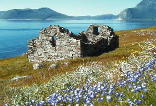roses-and-railways:  Ruins of a Viking church in Hvalsey, Greenland. (Photo Credit: Wolfgang Ka