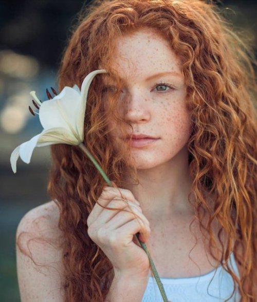 adailyredhead:The giant flower…