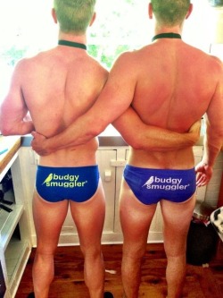 greenspeedos:  let’s give a big cheer for budgy smugglers