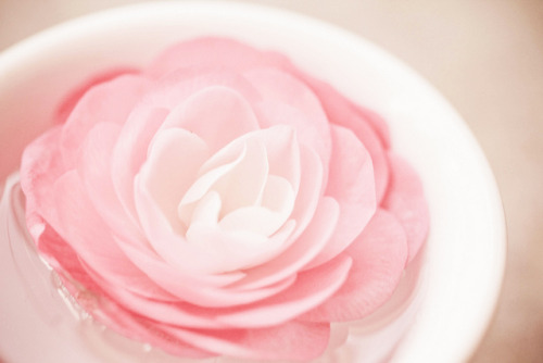 kiiseu:    by spiralgirl1   