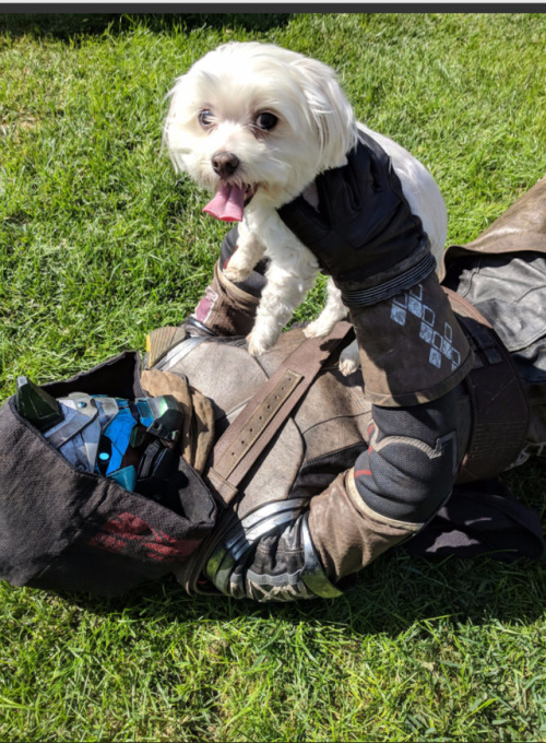 sixofcaydes:  If the union between Bungie and Blizzard blessed us with anything it was these beautiful photos.Sources: 1/2/3/4/  This is still the best Xd