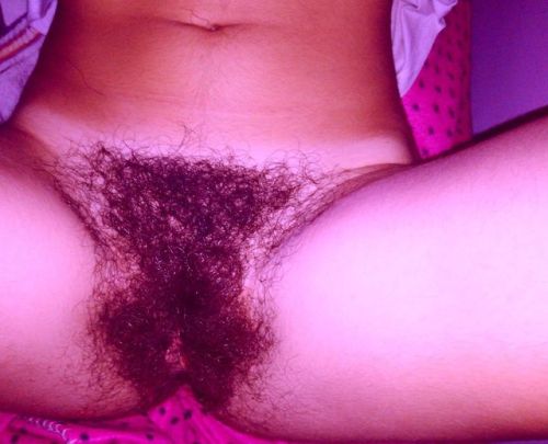 hairybushonly:  What do you think of my pussy? Pls leave a comment  Like  👍  Re-Blog  🔄 Follow  👥  Submit!  📷   Thank you for your submission  @ss-imweird !   😎  ✅ Submit your hairy bush and other pictures / video submissions to