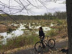 Bike day at Stewart State Forest 💚🚴🏻⛰🏔🍃🌿🌱🌴🌳🌲